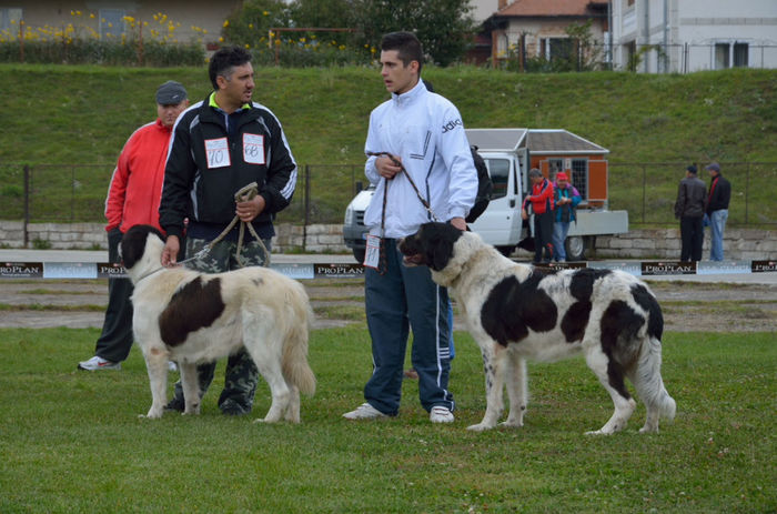 DSC_5478 - Campulung
