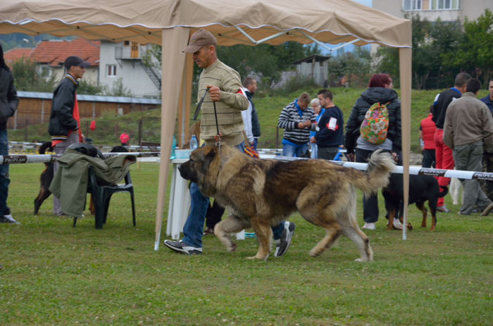 DSC_5482 - Campulung