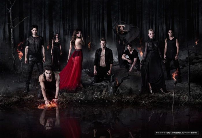 tvd (1)