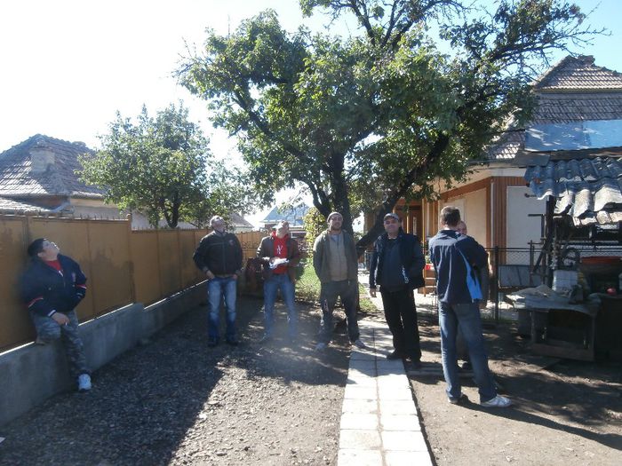 Ultima Etapa Tineret 2013