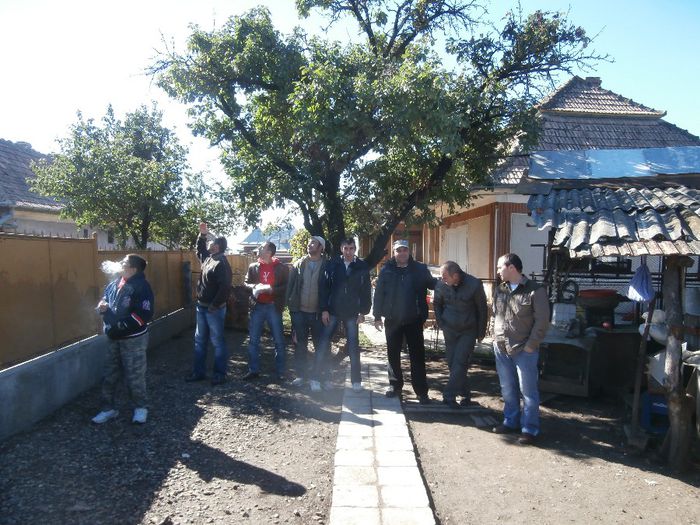 Marius-Vlad-Gabi-Calin-Adi-Cipri-Hanganut-Alin