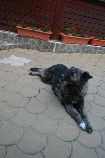 IMG_5727 - 2013 - Facultate - intalnire 10 ani