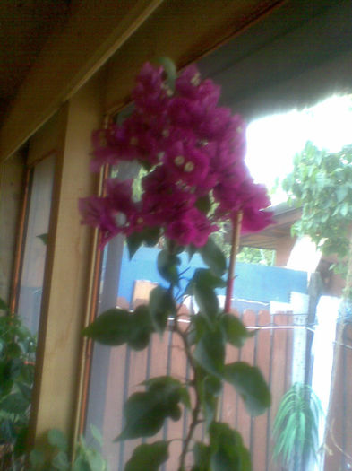 Imag253 - Bougainville 2013