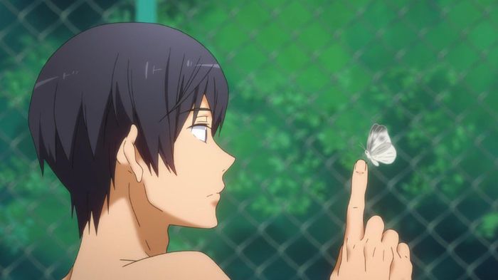  - Free - Iwatobi Swim Club