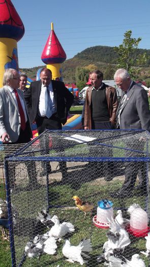 Picture 1263 - TOAMNA BISTRITEANA 2013