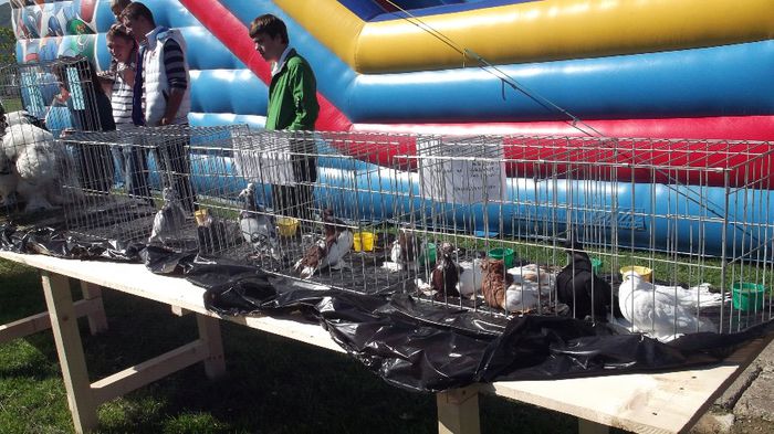 Picture 1264 - TOAMNA BISTRITEANA 2013