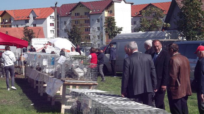 Picture 1274 - TOAMNA BISTRITEANA 2013