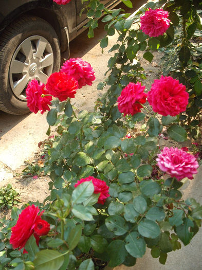 DSCF0034