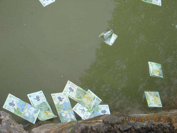 Micul iaz amenajat in incinta.....