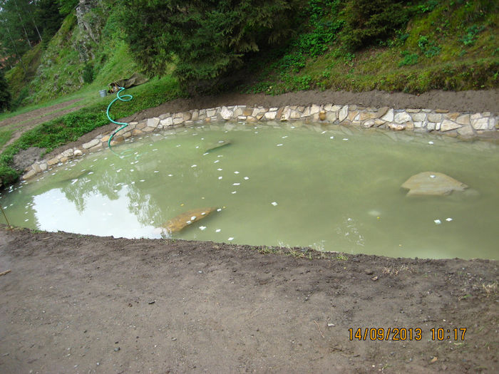 metropolele europene.