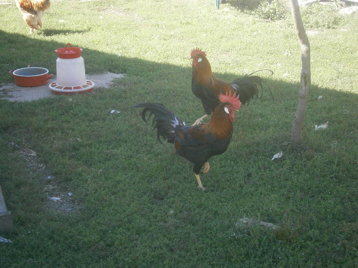 P9040002
