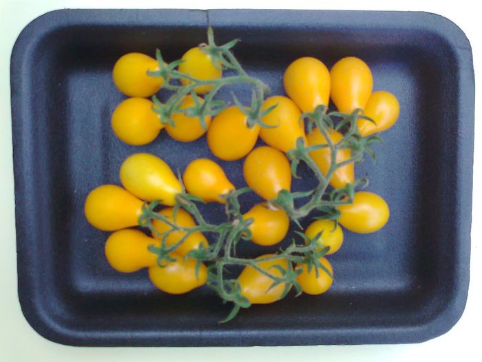 YELLOW PEARSHAPED 1518; YELLOW PEARSHAPED

