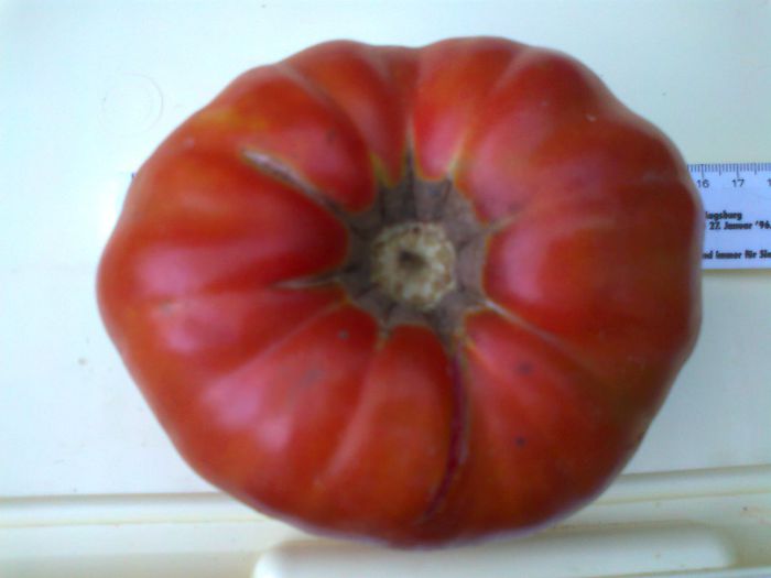 Fotografie1457 - 10 TOMATE-ROSII- HEIRLOOM SOIURI TRADITIONALE PURE DE ORIGINE BIO ALBUM 10