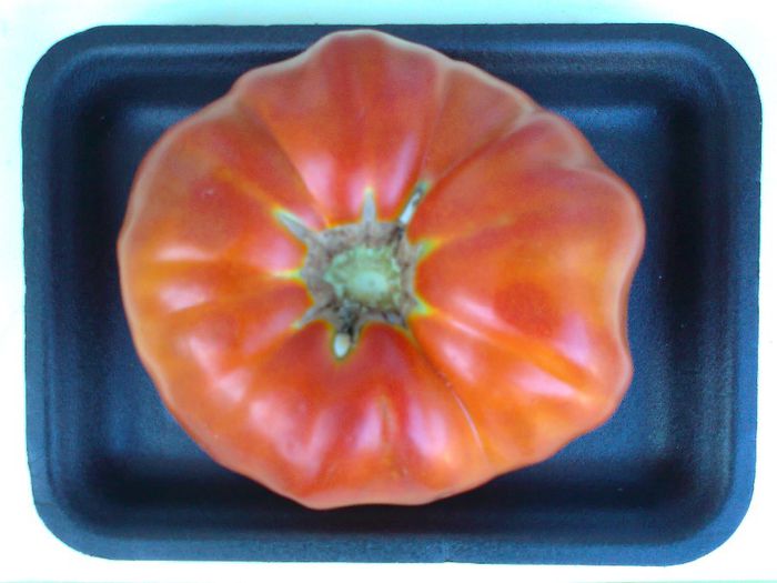 fotografie1528 - 10 TOMATE-ROSII- HEIRLOOM SOIURI TRADITIONALE PURE DE ORIGINE BIO ALBUM 10