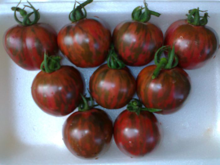 VIOLET JASPER 1690 - 11 TOMATE-ROSII- HEIRLOOM SOIURI TRADITIONALE PURE DE ORIGINE BIO ALBUM 11