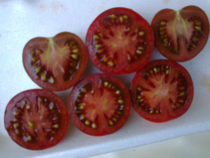 VIOLET JASPER 1693 - 11 TOMATE-ROSII- HEIRLOOM SOIURI TRADITIONALE PURE DE ORIGINE BIO ALBUM 11