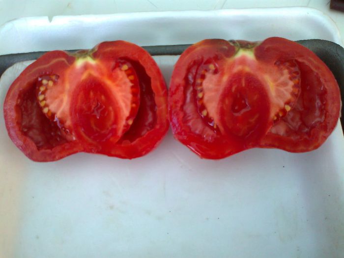 VERA PEPER 1729; VERA PEPER
