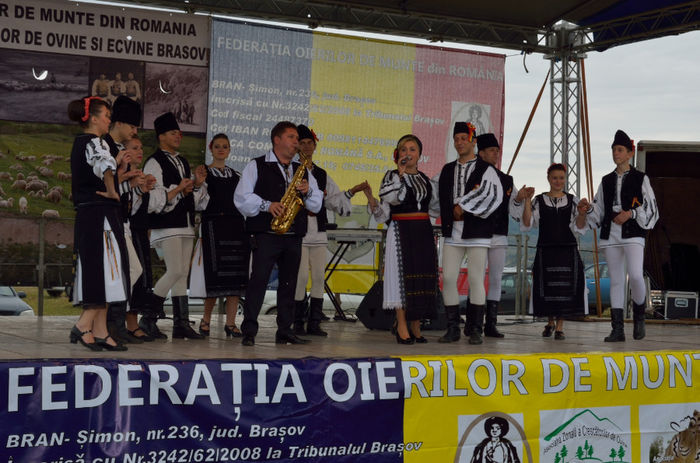 DSC_5554 - Ravasitul oilor la Tohanul Nou