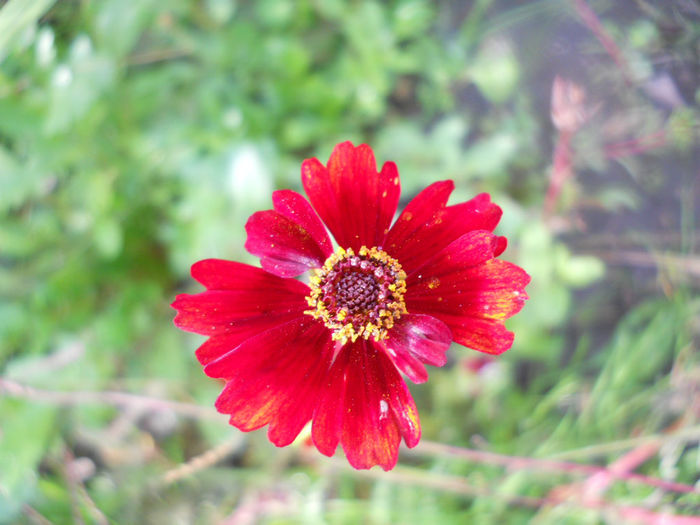 DSCN5159