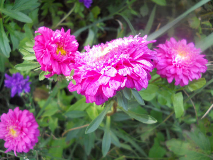 DSCN5161