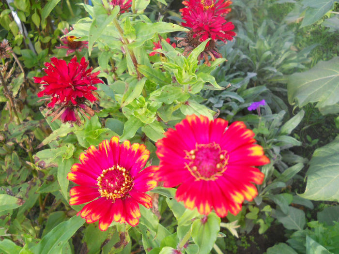 DSCN5164