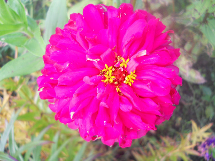 DSCN5163