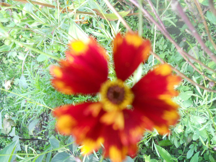 DSCN5168