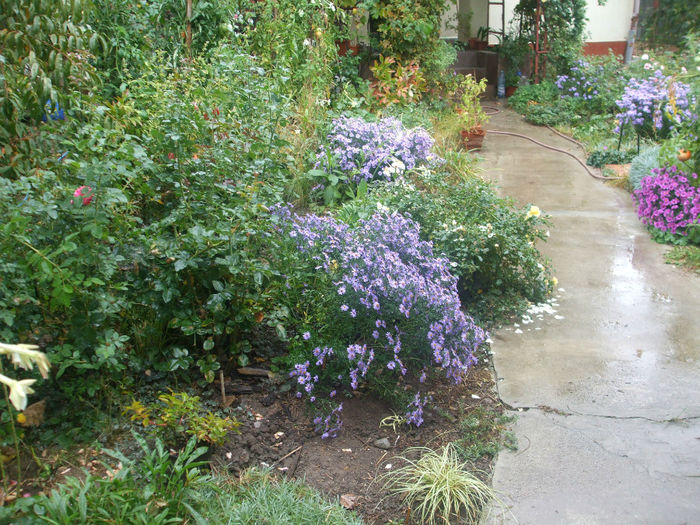 DSCF2893