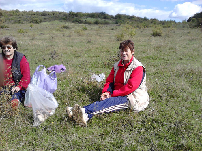 Cean sept.2013-15 - Cean 2013