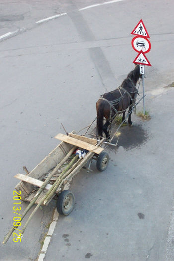 ALA ZI ,ALTA CARUTA ....