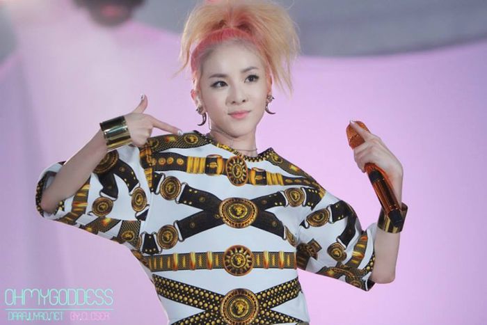 204 - 2NE1 8
