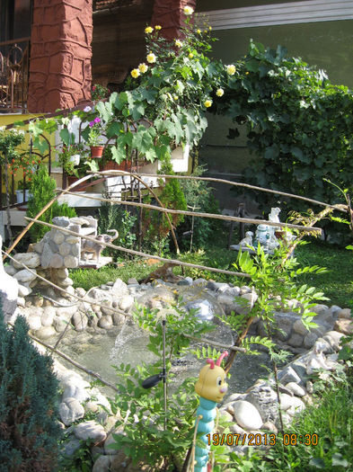 Glicina pe suport la fintina.