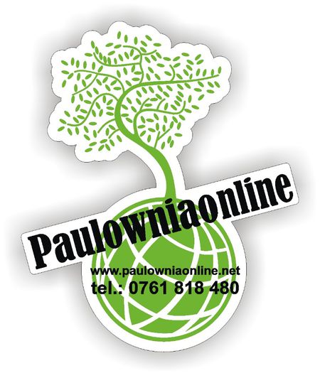 logo paulownia ok (1) - PRODUCATOR PAULOWNIA