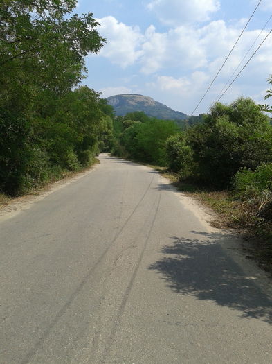 2013-08-08 12.52.45 - Fotografii 2013