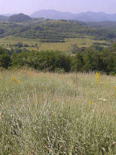 2013-06-22 10.59.11 - Fotografii 2013