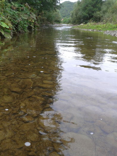 2013-09-29 14.38.08 - Fotografii 2013