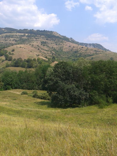 2013-08-08 12.48.57 - Fotografii 2013