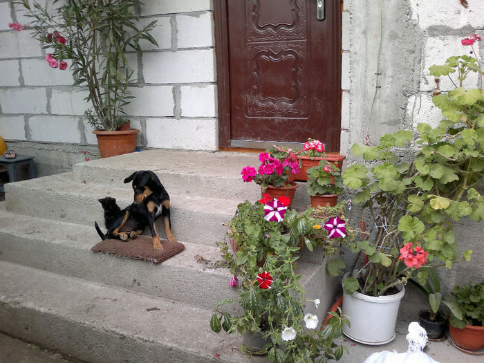 190920132867[1] - placerea de a face fotografii