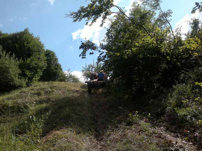 010820132790[1] - placerea de a face fotografii