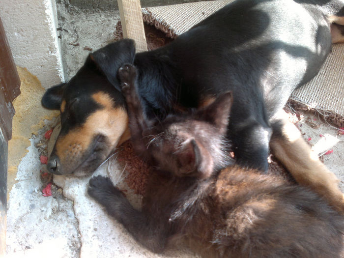 170820132821[1] - placerea de a face fotografii