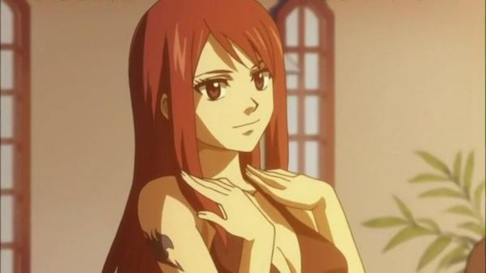 Erza Scarlet - Favorite Anime Girls