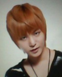 SYJ(LEDAPPLE)