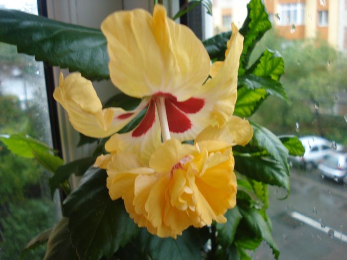 DSC09580