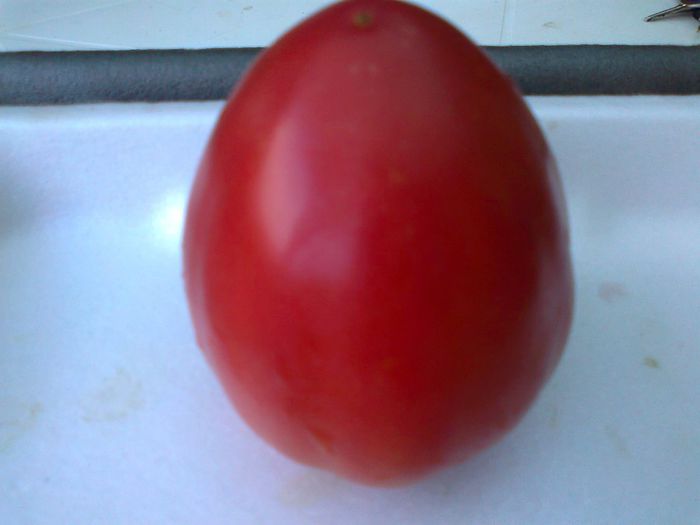 RED OXHEART 1802 - 12- TOMATE BIO SOIURI TRADITIONALE PURE ORGANICE DE ORIGINE ROMANESTI SI STRAINE ALBUM 12