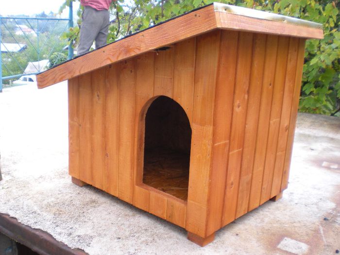 DSCN6769 - 1 Custi cotete lemn --- REALIZATE