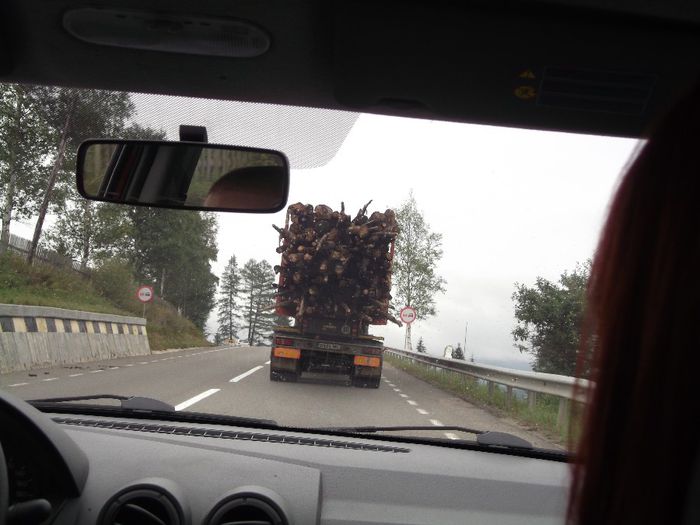 un camion cu lemne