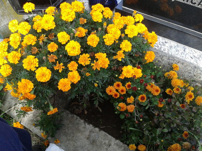 sept 2013, pentru mama