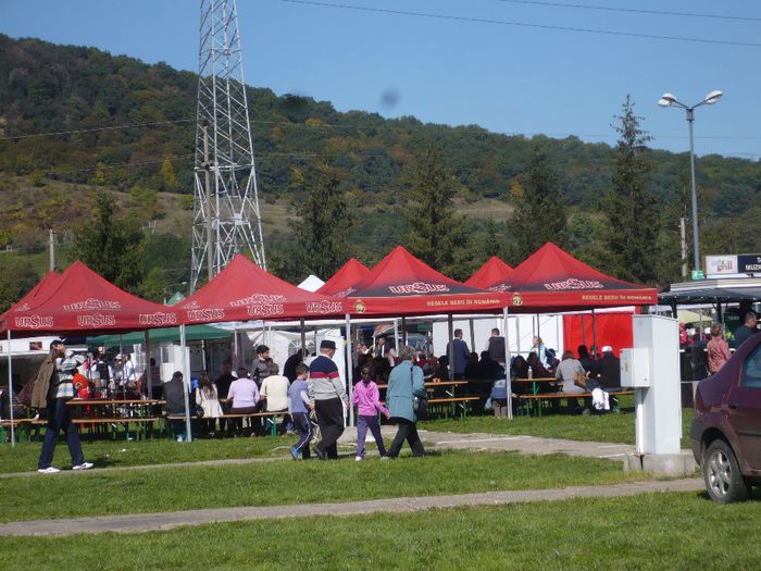 P1140832 - EXPOZITIE SI TARG BISTRITA