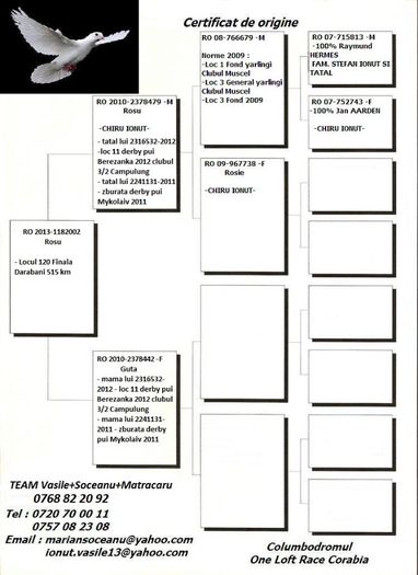pedigree rosu - 1- Columbodrom Corabia 2013