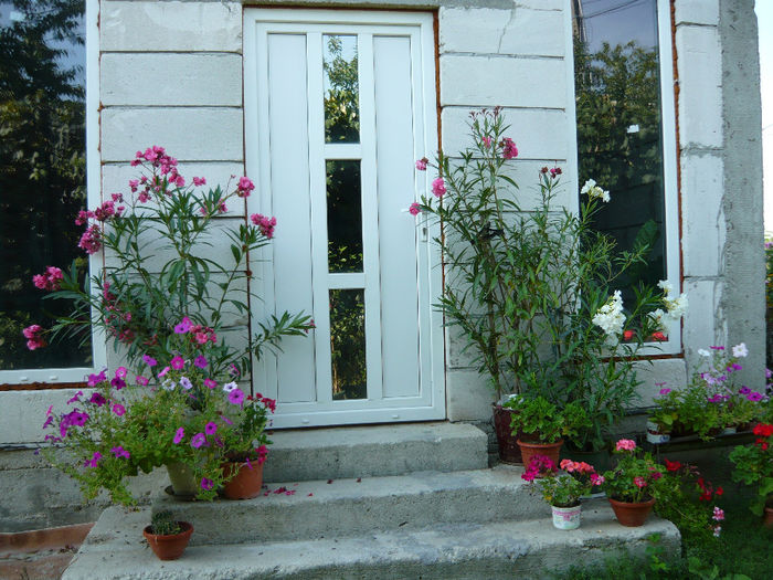 P1020024